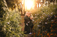 Maternity Photos Baby #3